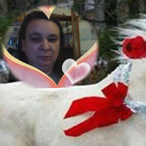 Profil de Delal